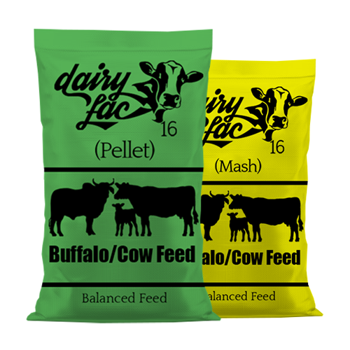 Animal Feed Dairy Lac 16 Wholesale Top Quality