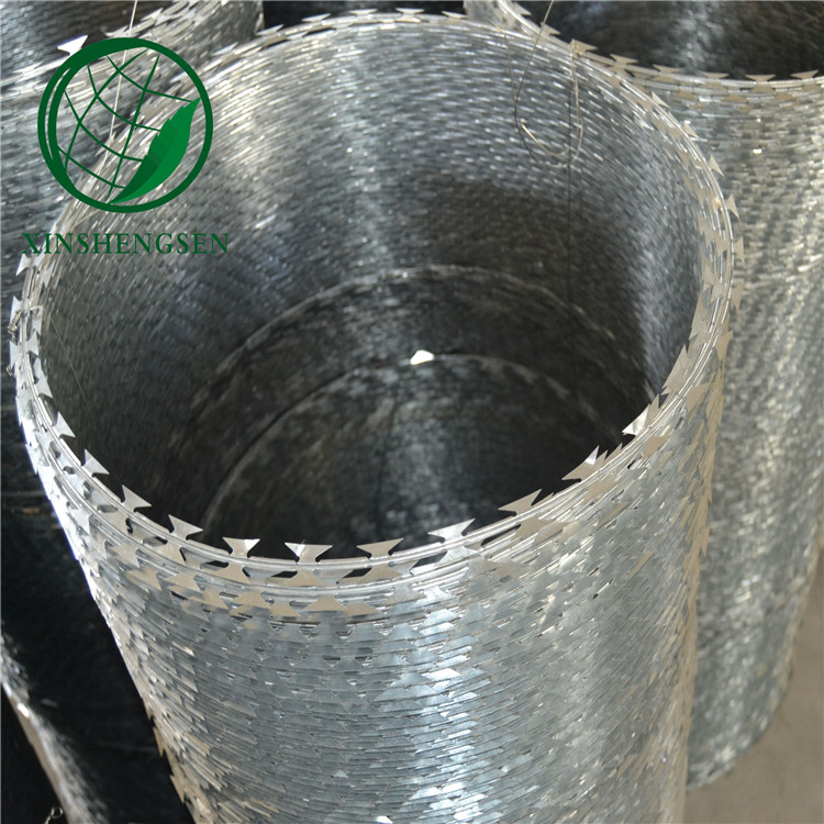 free sample secure barbed fence wire/ galvanized barbed wire/razor wire