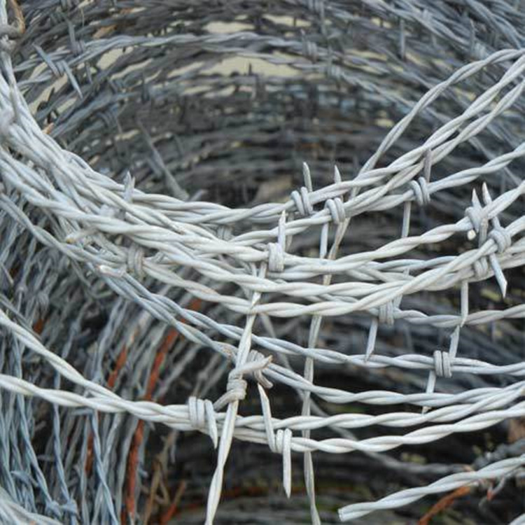 High quality Barb Wire Price Per Roll / Galvanized Barbed Wire Farm Fence